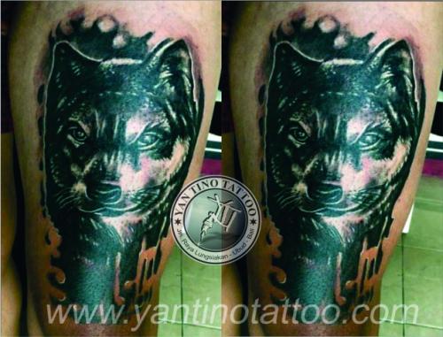 aski-dog-tattoo-singa-tiger-black-grey-realistik-ubud-okoi