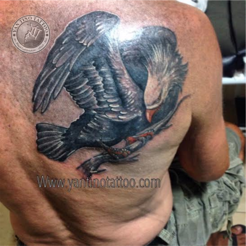 eaglge-tattoo-ubud-elang-bird-tattoo-studio-good-bali-realistic-color-top-bali-burung-bagus-kuta-bali