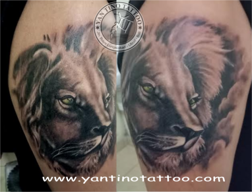 lion-tattoo-tribal-dot-yantino-bali-tattoo-ubud-kings-kuta-balinesia-ubud-realistic (1)